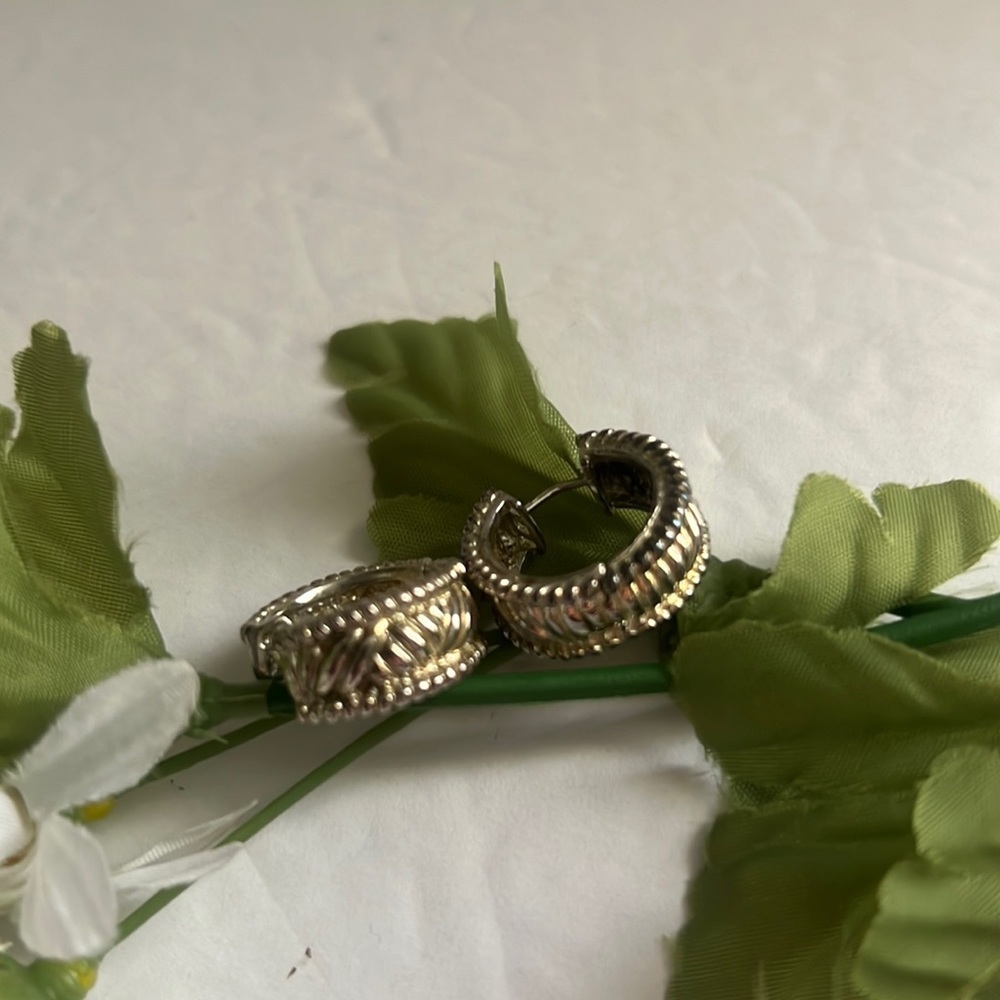 Elegant Silver Hoop Earrings